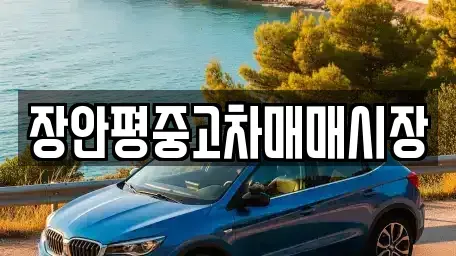 서울 서초구 방배동 중고차 전문 장안평중고차매매시장