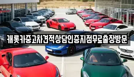 서울 서초구 방배동 중고차 전문 캐롯카중고차견적상담인증지점무료출장방문