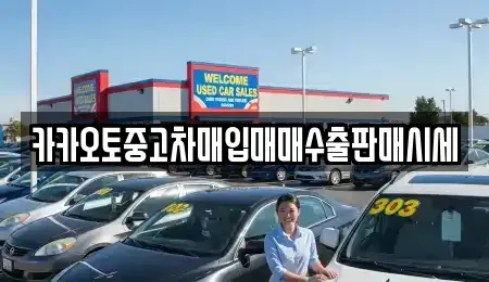 서울 서초구 방배동 중고차매입 전문 카카오토중고차매입매매수출판매시세