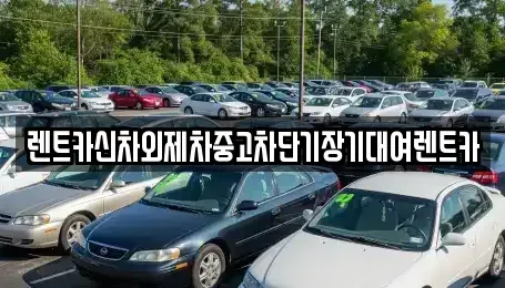 서울 성북구 단기렌트카 전문 렌트카신차외제차중고차단기장기대여렌트카
