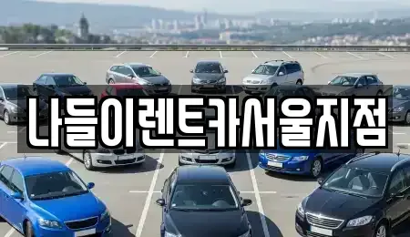 서울 성북구 동선동2가 렌트카 전문 나들이렌트카서울지점