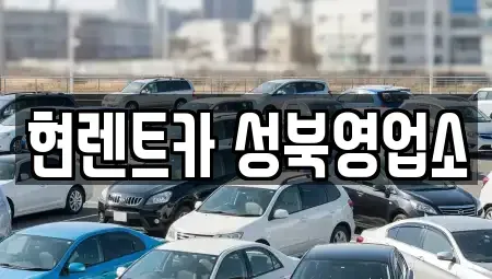 서울 성북구 동선동2가 렌트카,단기렌트카,장기렌트카,중고차,중고차매매,중고차매입
