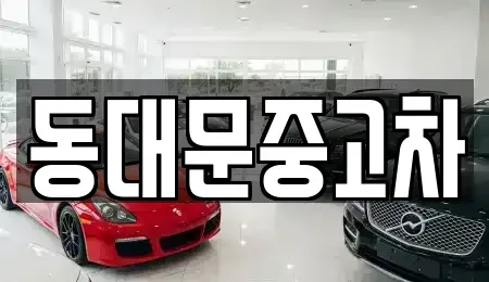 서울 성북구 동선동2가 중고차 전문 동대문중고차