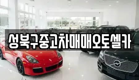 서울 성북구 동선동2가 중고차 전문 성북구중고차매매오토셀카