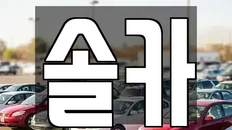 서울 성북구 동선동2가 중고차 전문 솔카