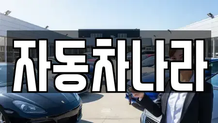 서울 성북구 동선동2가 중고차 전문 자동차나라