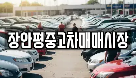 서울 성북구 동선동2가 중고차 전문 장안평중고차매매시장