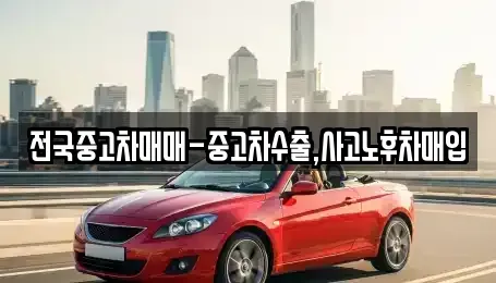 서울 성북구 동선동2가 중고차매입 전문 전국중고차매매-중고차수출,사고노후차매입