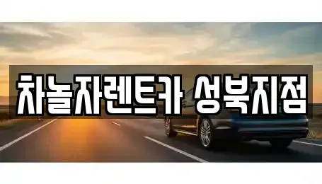 서울 성북구 렌트카 전문 차놀자렌트카 성북지점