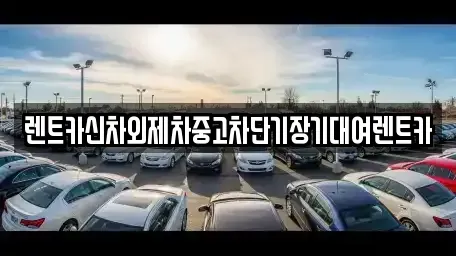 서울 성북구 안암동3가 장기렌트카 전문 렌트카신차외제차중고차단기장기대여렌트카
