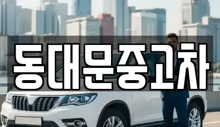 서울 성북구 안암동3가 중고차 전문 동대문중고차