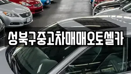 서울 성북구 안암동3가 중고차 전문 성북구중고차매매오토셀카