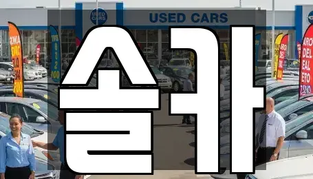 서울 성북구 안암동3가 중고차 전문 솔카