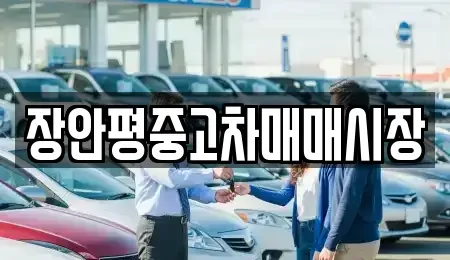 서울 성북구 안암동3가 중고차 전문 장안평중고차매매시장
