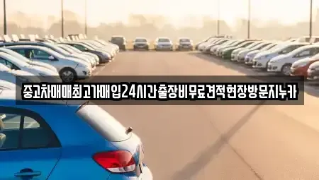서울 성북구 안암동3가 중고차매입 전문 중고차매매최고가매입24시간출장비무료견적현장방문지누카