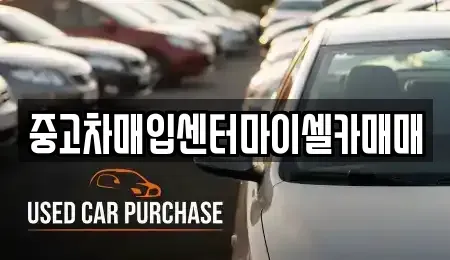 서울 성북구 안암동3가 중고차매입 전문 중고차매입센터마이셀카매매
