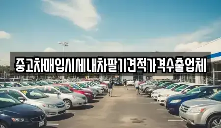 서울 성북구 안암동3가 중고차매입 전문 중고차매입시세내차팔기견적가격수출업체