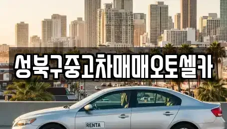서울 성북구 중고차매매 전문 성북구중고차매매오토셀카