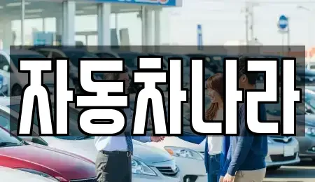 서울 성북구 중고차매매 전문 자동차나라