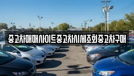 서울 성북구 중고차매매 전문 중고차매매사이트중고차시세조회중고차구매