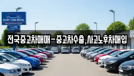 서울 송파구 삼전동 중고차 전문 전국중고차매매-중고차수출,사고노후차매입
