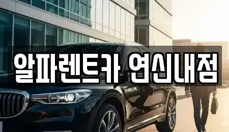 서울 은평구 대조동 렌트카 전문 알파렌트카 연신내점