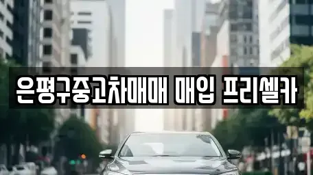 서울 은평구 대조동 중고차 전문 은평구중고차매매 매입 프리셀카