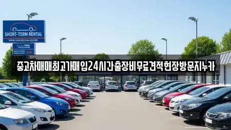 서울 은평구 대조동 중고차 전문 중고차매매최고가매입24시간출장비무료견적현장방문지누카
