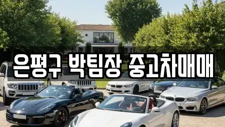 서울 은평구 중고차매매 전문 은평구 박팀장 중고차매매