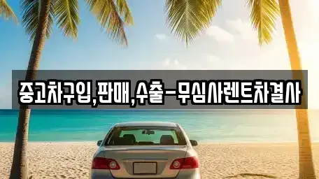 서울 은평구 중고차매매 전문 중고차구입,판매,수출-무심사렌트차결사