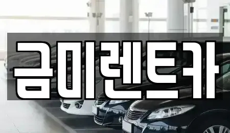 서울 종로구 교남동 렌트카 전문 금미렌트카