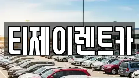 서울 종로구 교남동 렌트카 전문 티제이렌트카
