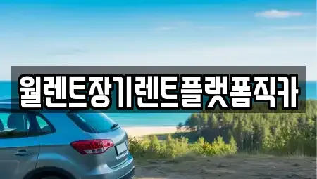 서울 종로구 교남동 장기렌트카 전문 월렌트장기렌트플랫폼직카