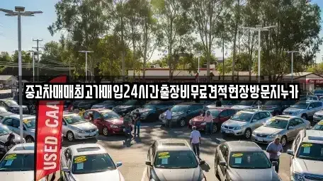 서울 종로구 교남동 중고차 전문 중고차매매최고가매입24시간출장비무료견적현장방문지누카