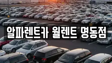 서울 종로구 수송동 렌트카 전문 알파렌트카 월렌트 명동점