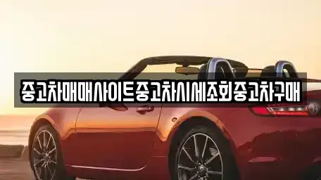 서울 종로구 수송동 중고차매매 전문 중고차매매사이트중고차시세조회중고차구매