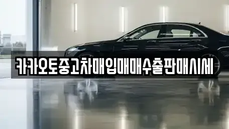 서울 종로구 수송동 중고차매입 전문 카카오토중고차매입매매수출판매시세