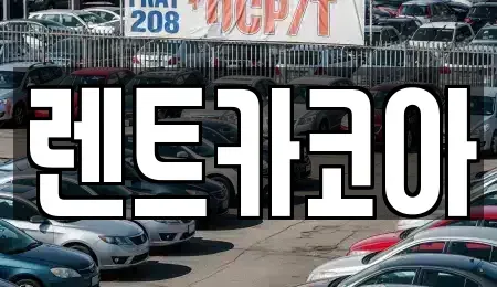 서울 종로구 종로2가 렌트카 전문 렌트카코아