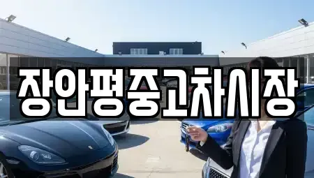 서울 종로구 종로2가 중고차 전문 장안평중고차시장