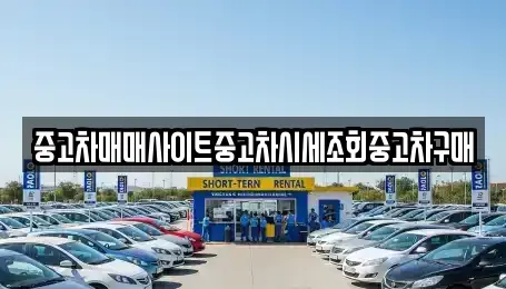 서울 종로구 종로2가 중고차 전문 중고차매매사이트중고차시세조회중고차구매