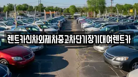 서울 중구 광희동1가 단기렌트카 전문 렌트카신차외제차중고차단기장기대여렌트카