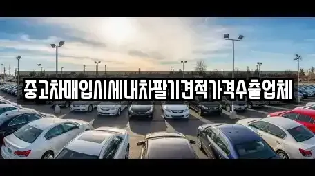 서울 중구 광희동1가 중고차매입 전문 중고차매입시세내차팔기견적가격수출업체