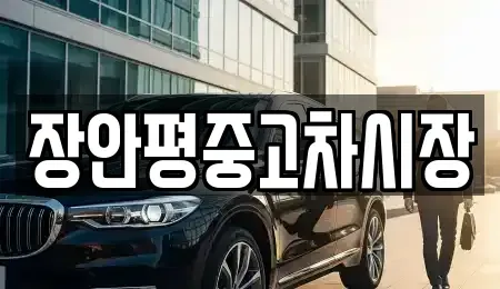 서울 중구 명동2가 중고차매매 전문 장안평중고차시장