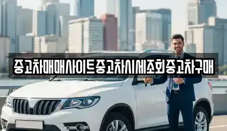 서울 중구 명동2가 중고차매매 전문 중고차매매사이트중고차시세조회중고차구매