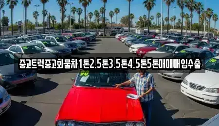 서울 중구 명동2가 중고차매입 전문 중고트럭중고화물차1톤2.5톤3.5톤4.5톤5톤매매매입수출