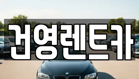 서울특별시 강동구 고덕동 단기렌트카 전문 건영렌트카