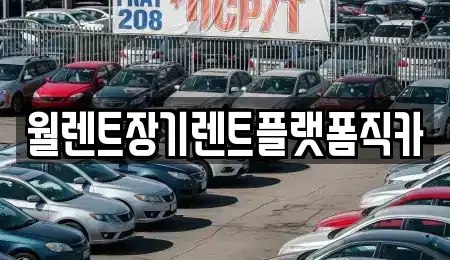 서울특별시 강동구 고덕동 렌트카 전문 월렌트장기렌트플랫폼직카