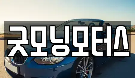 서울특별시 강동구 고덕동 중고차 전문 굿모닝모터스