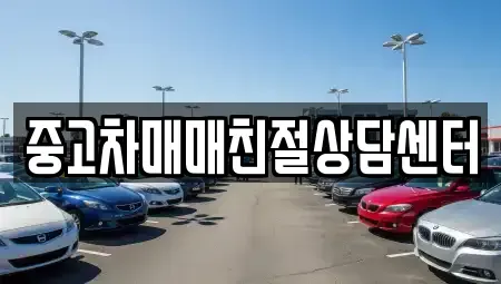 서울특별시 강동구 고덕동 중고차 전문 중고차매매친절상담센터