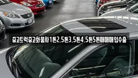 서울특별시 강동구 고덕동 중고차 전문 중고트럭중고화물차1톤2.5톤3.5톤4.5톤5톤매매매입수출